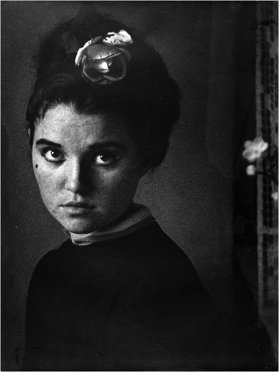 Zivko Janevski - Devojka Sa Cvetom